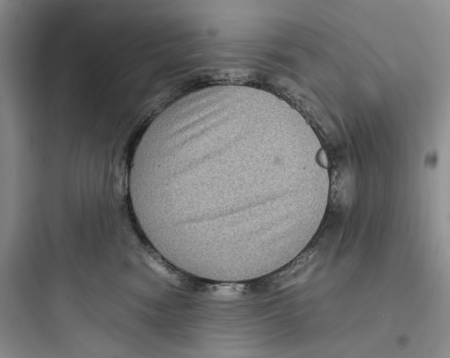 X0000097660474200803211923