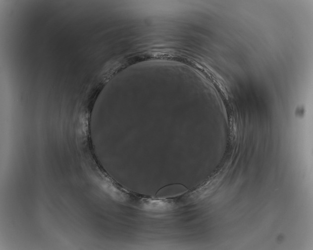 X0000097660475200803211923