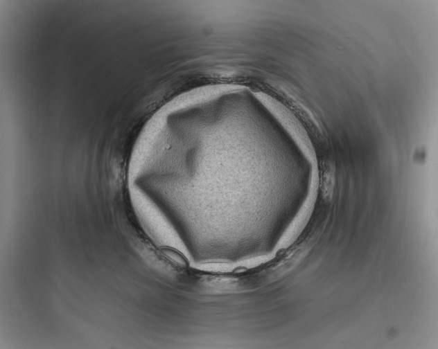 X0000097660476200803211923