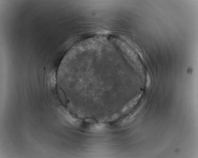 X0000097660479200803211923