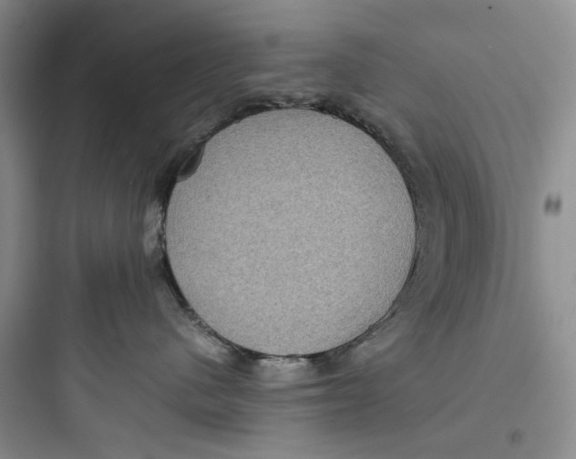 X0000097660480200803211924