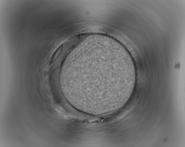 X0000097660481200803211923