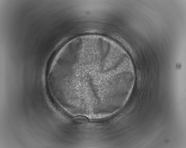 X0000097660482200803211923