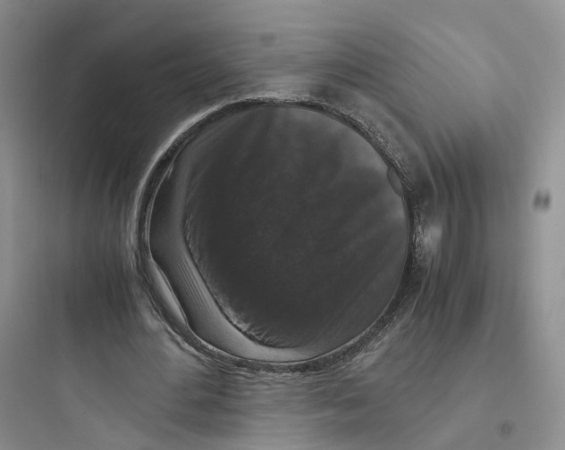 X0000097660484200803211923