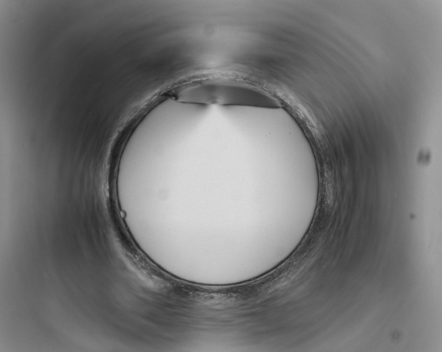 X0000097660486200803211923