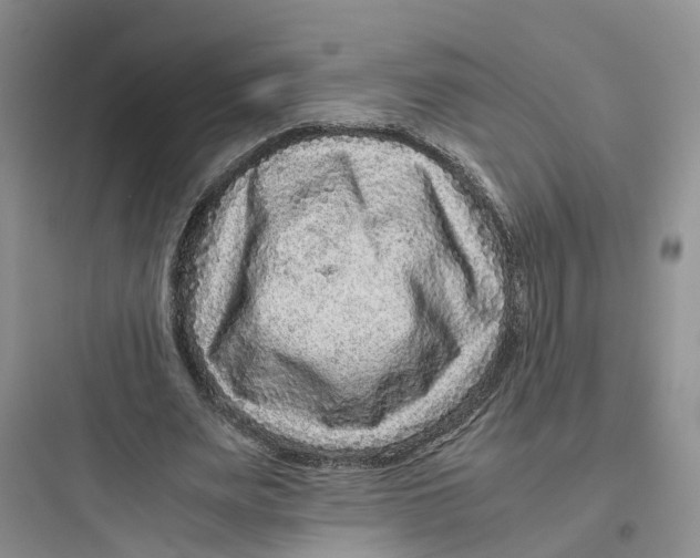X0000097660487200803211923