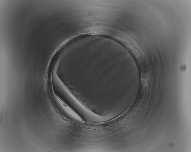 X0000097660488200803211923