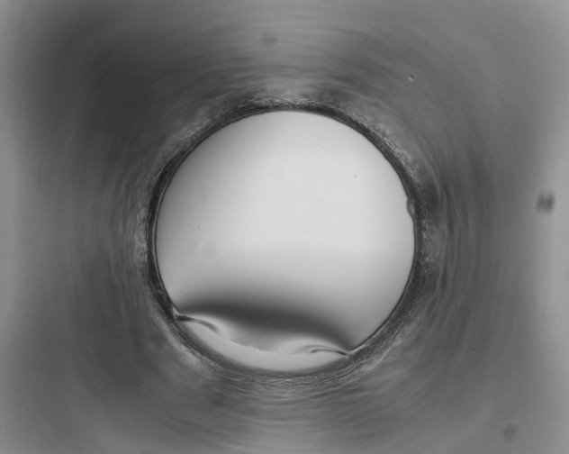 X0000097660489200803211923