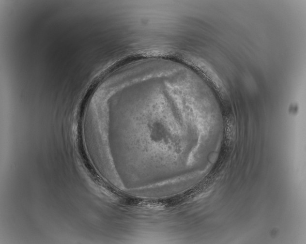 X0000097660491200803211923