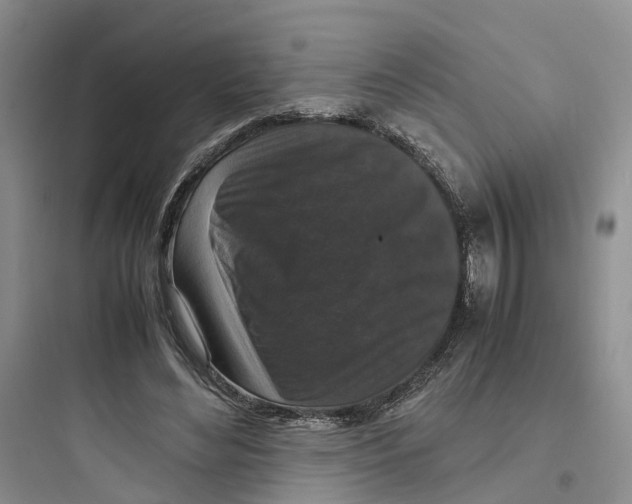 X0000097660492200803211923