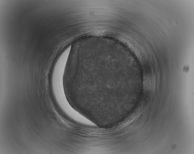 X0000097660493200803211923