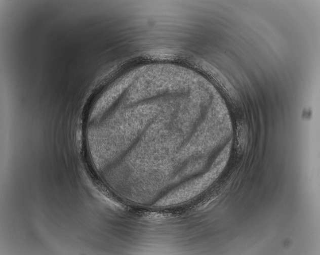 X0000097660494200803211923