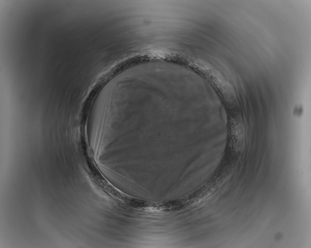 X0000097660496200803211923