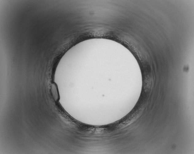 X0000097660497200803211923