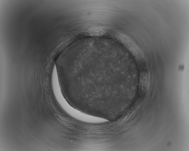 X0000097660501200803211923