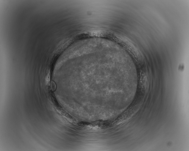 X0000097660502200803211923