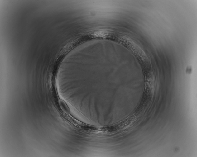 X0000097660504200803211923