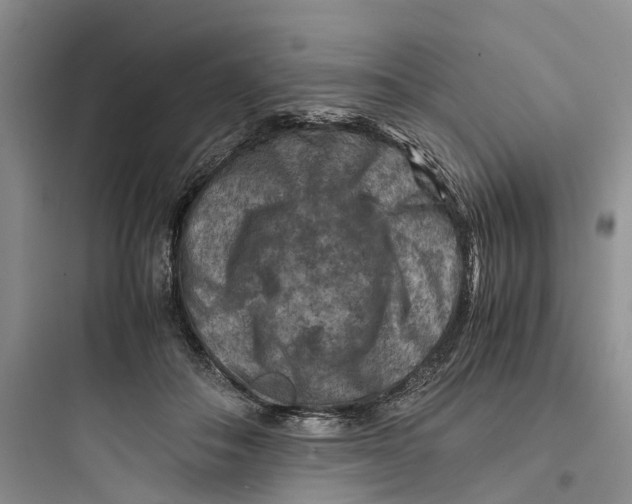 X0000097660506200803211923