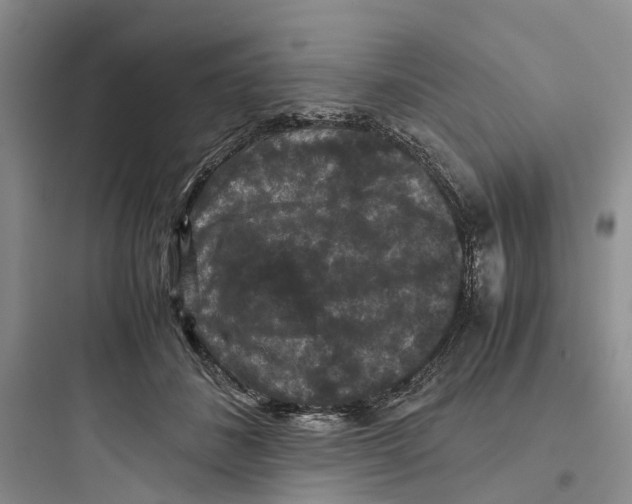 X0000097660508200803211922
