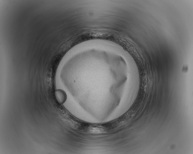 X0000097660510200803211922