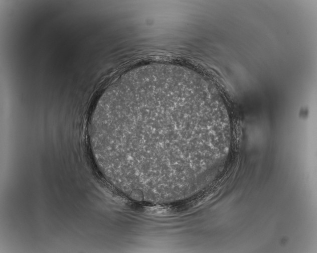 X0000097660511200803211922