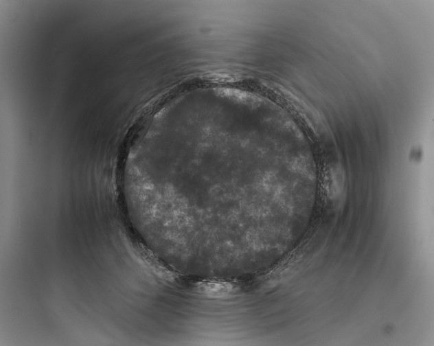 X0000097660512200803211922