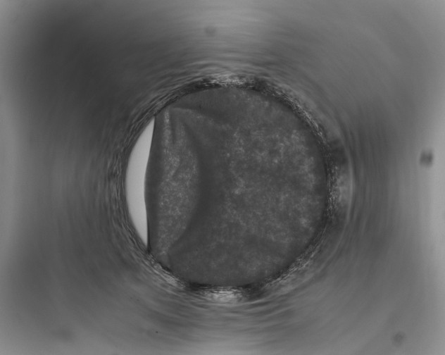 X0000097660513200803211922