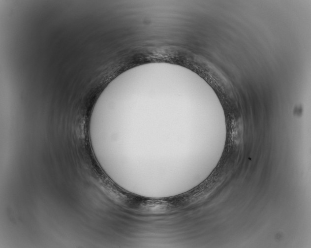X0000097660514200803211922