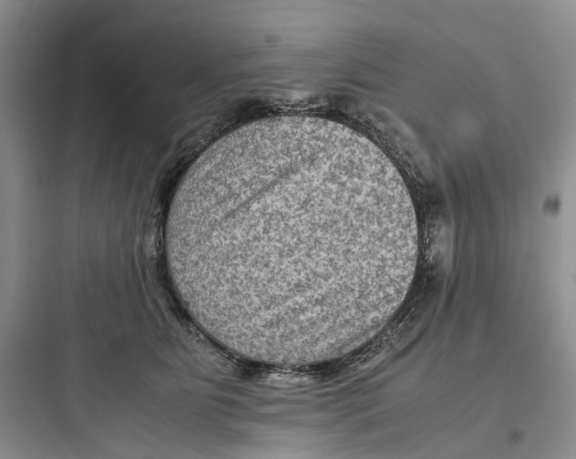 X0000097660515200803211922