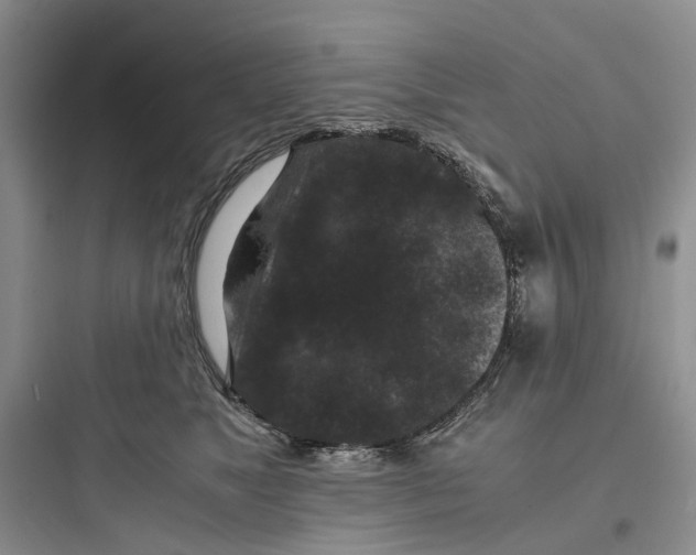 X0000097660517200803211922