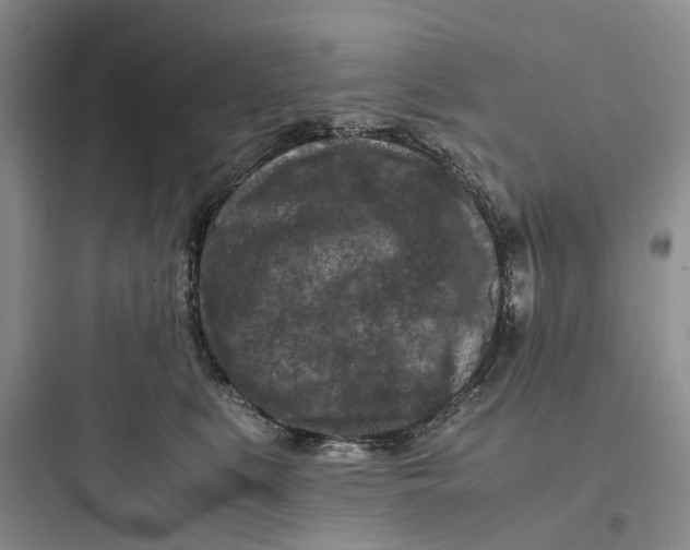 X0000097660519200803211922