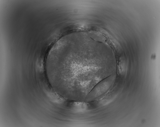 X0000097660520200803211922