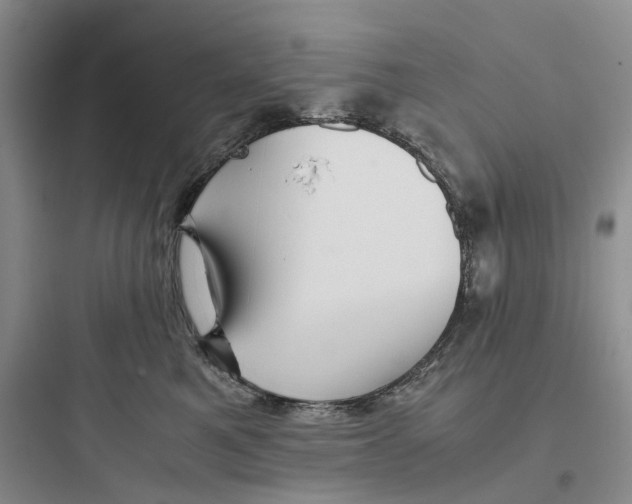 X0000097660521200803211922