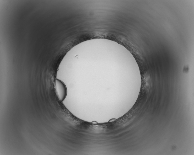 X0000097660522200803211922