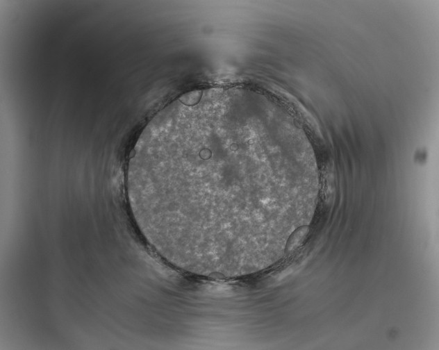X0000097660523200803211922