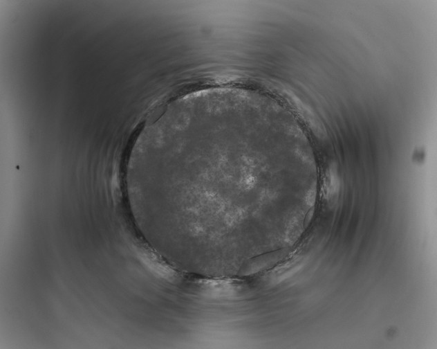X0000097660524200803211922
