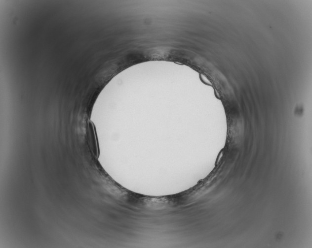 X0000097660525200803211922