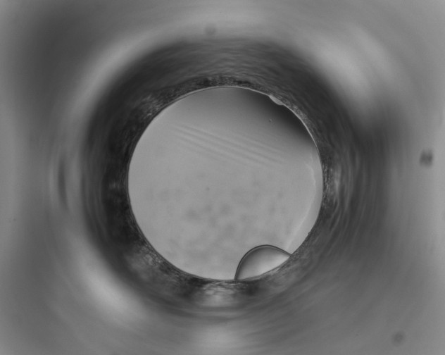 X0000097660526200803211922