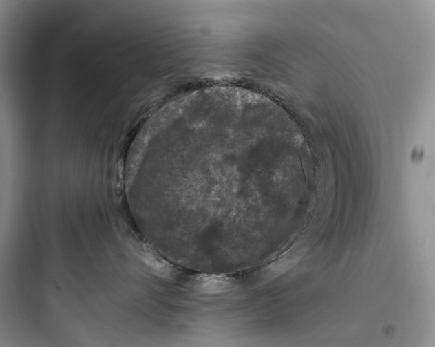 X0000097660528200803211922