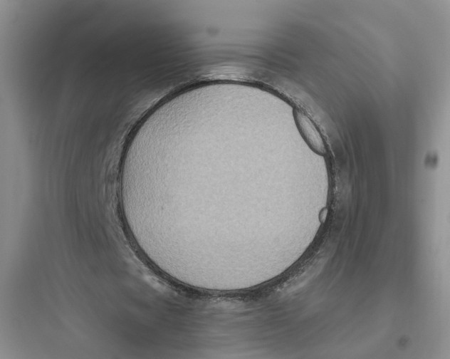 X0000097660529200803211922