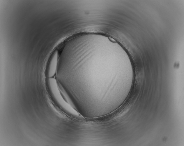 X0000097660530200803211922