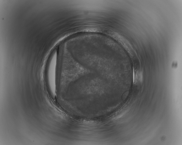 X0000097660531200803211922