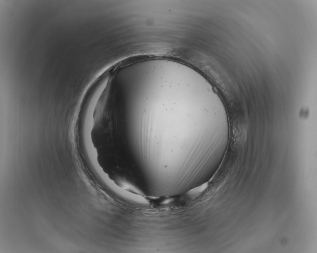 X0000097660532200803211922