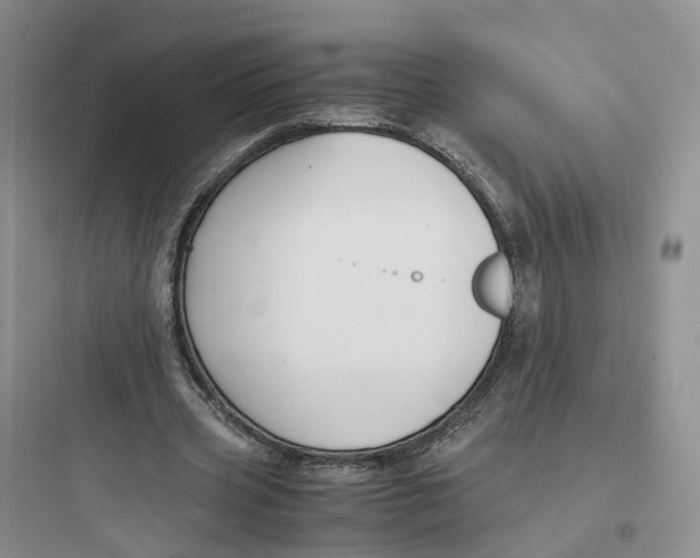 X0000097660533200803211922