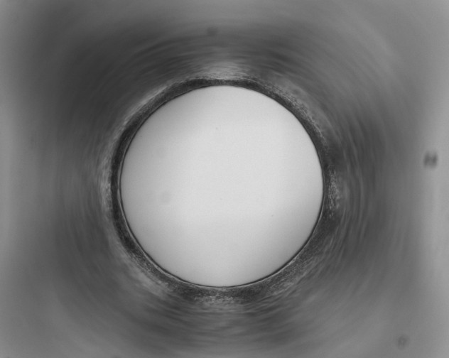 X0000097660535200803211922