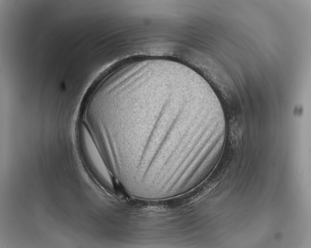 X0000097660536200803211922