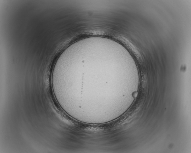 X0000097660537200803211922