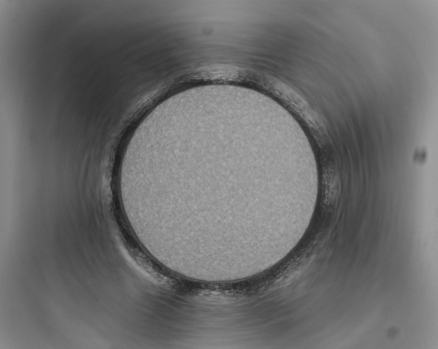 X0000097660538200803211922