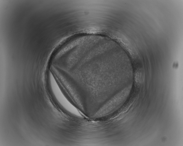X0000097660540200803211922