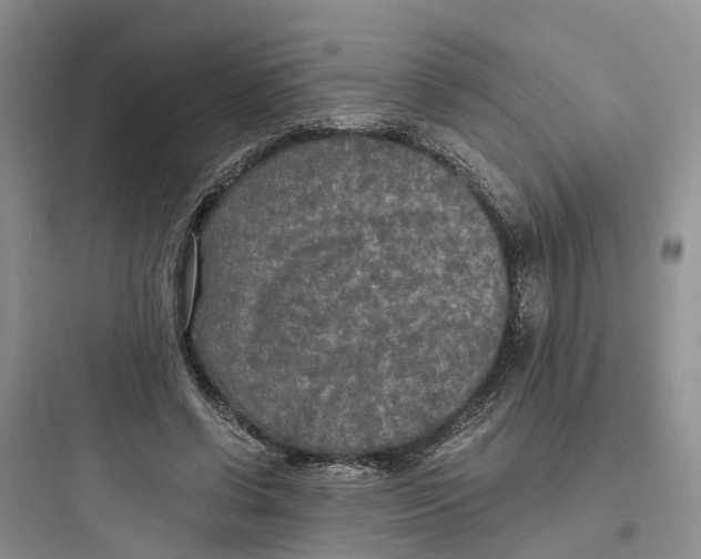 X0000097660542200803211922